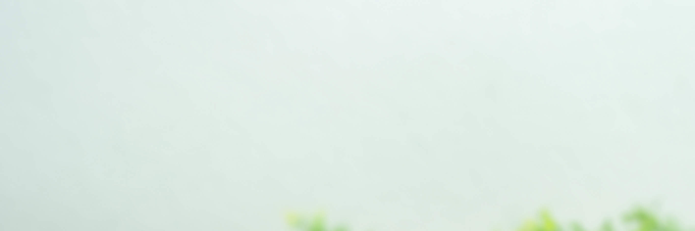 安娣瑪萊｜東南亞菜｜尖沙咀